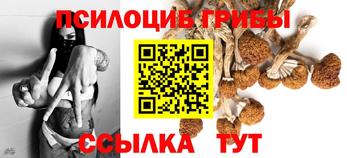 Псилоцибиновые грибы мицелий  Вход с VPN  Калач-на-Дону 